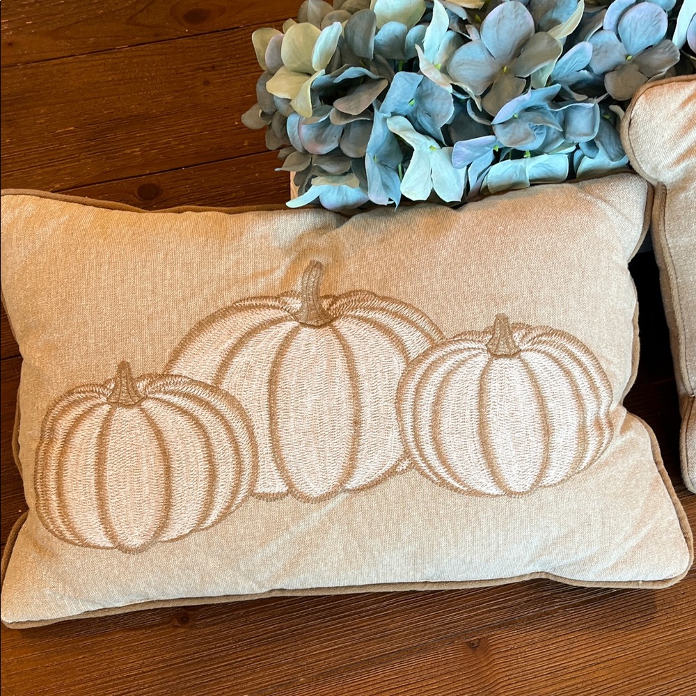 Autumn Pumpkin Embroidered Pillows - Picture 7 of 7